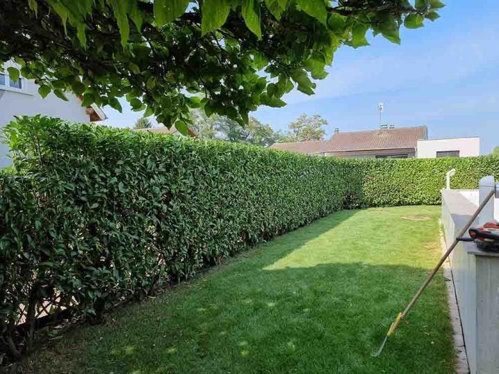 Création de tout type de jardin 