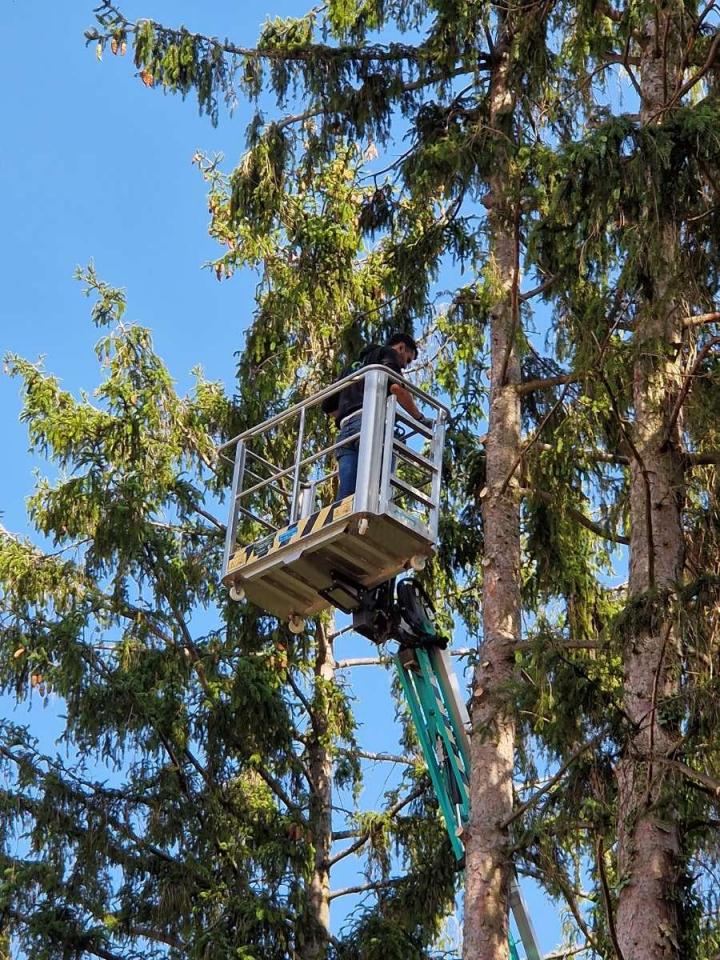 entreprise de création de jardins Habsheim