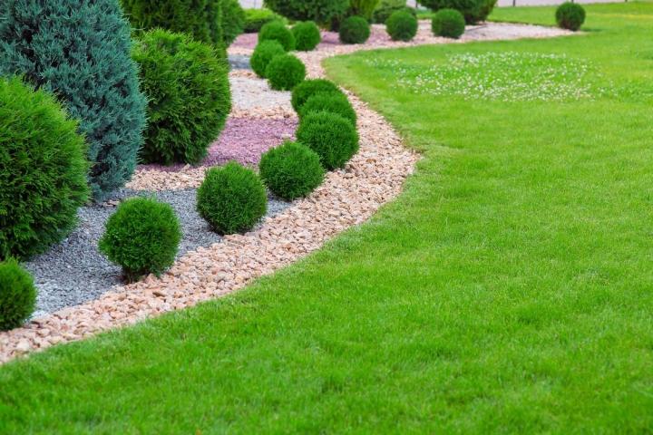 Entretien jardins Mulhouse